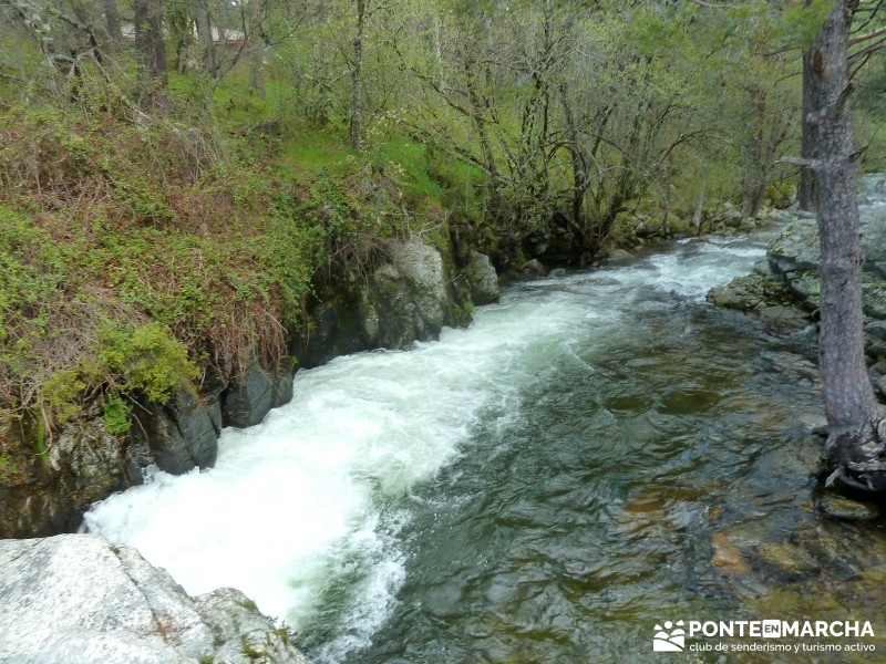 Río Lozoya - arroyo de la Angostura